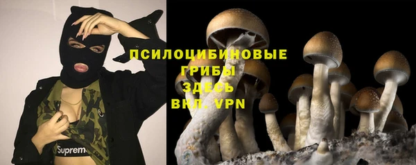 герыч Верхний Тагил