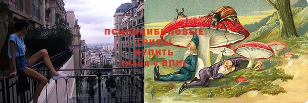 герыч Верхний Тагил
