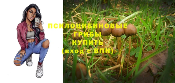 герыч Верхний Тагил