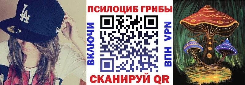 Купить  Кола  Псилоцибиновые грибы GOLDEN TEACHER 
